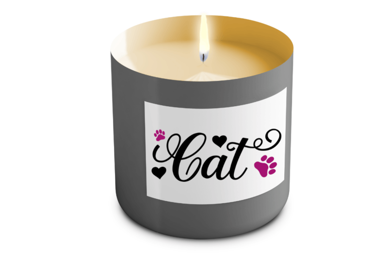 Cat Svg Bundle