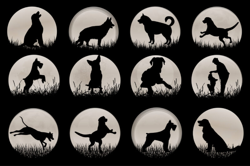 Dog Sunset T-Shirt Graphic Vector Bundle