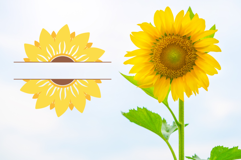 Sunflower Clipart SVG Bundle