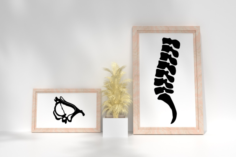 Human Bone SVG Bundle