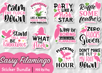 Sassy Flamingo sticker Sublimation bundle t shirt template vector