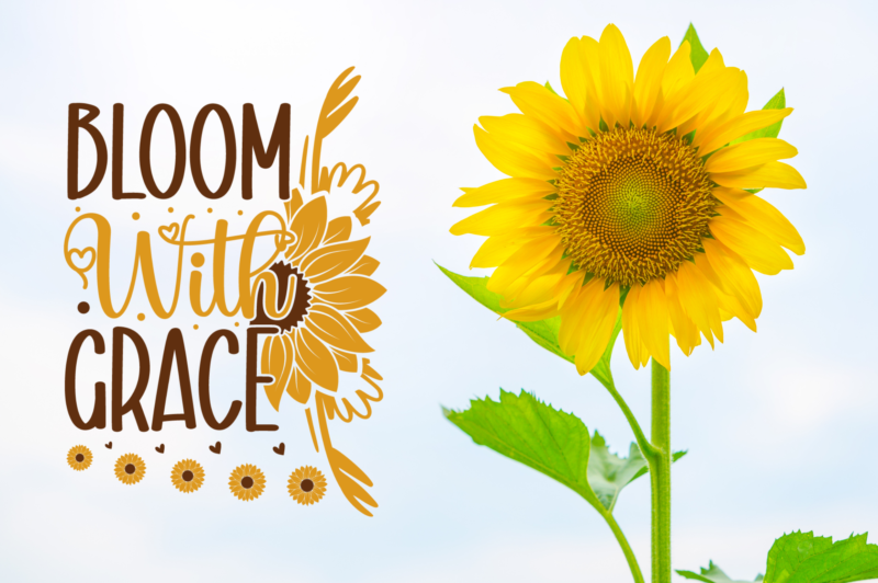 Sunflower Quotes SVG Bundle