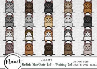 British Shorthair Cat – peeking cat bundle – 20 png files vector clipart