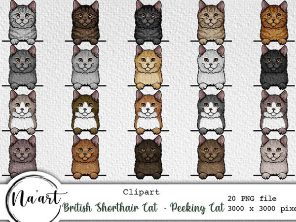 British shorthair cat – peeking cat bundle – 20 png files vector clipart