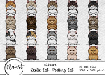 Exotic Cat – Peeking Cat Bundle – 20 PNG files