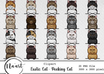 Exotic cat - peeking cat bundle - 20 png files