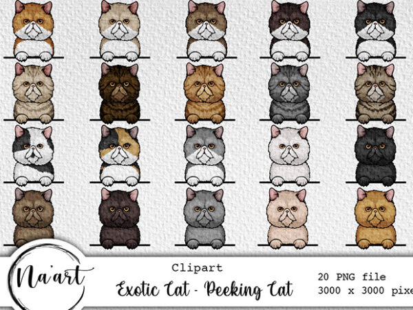 Exotic cat – peeking cat bundle – 20 png files vector clipart
