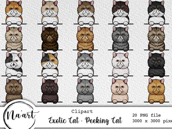 Exotic cat – peeking cat bundle – 20 png files vector clipart