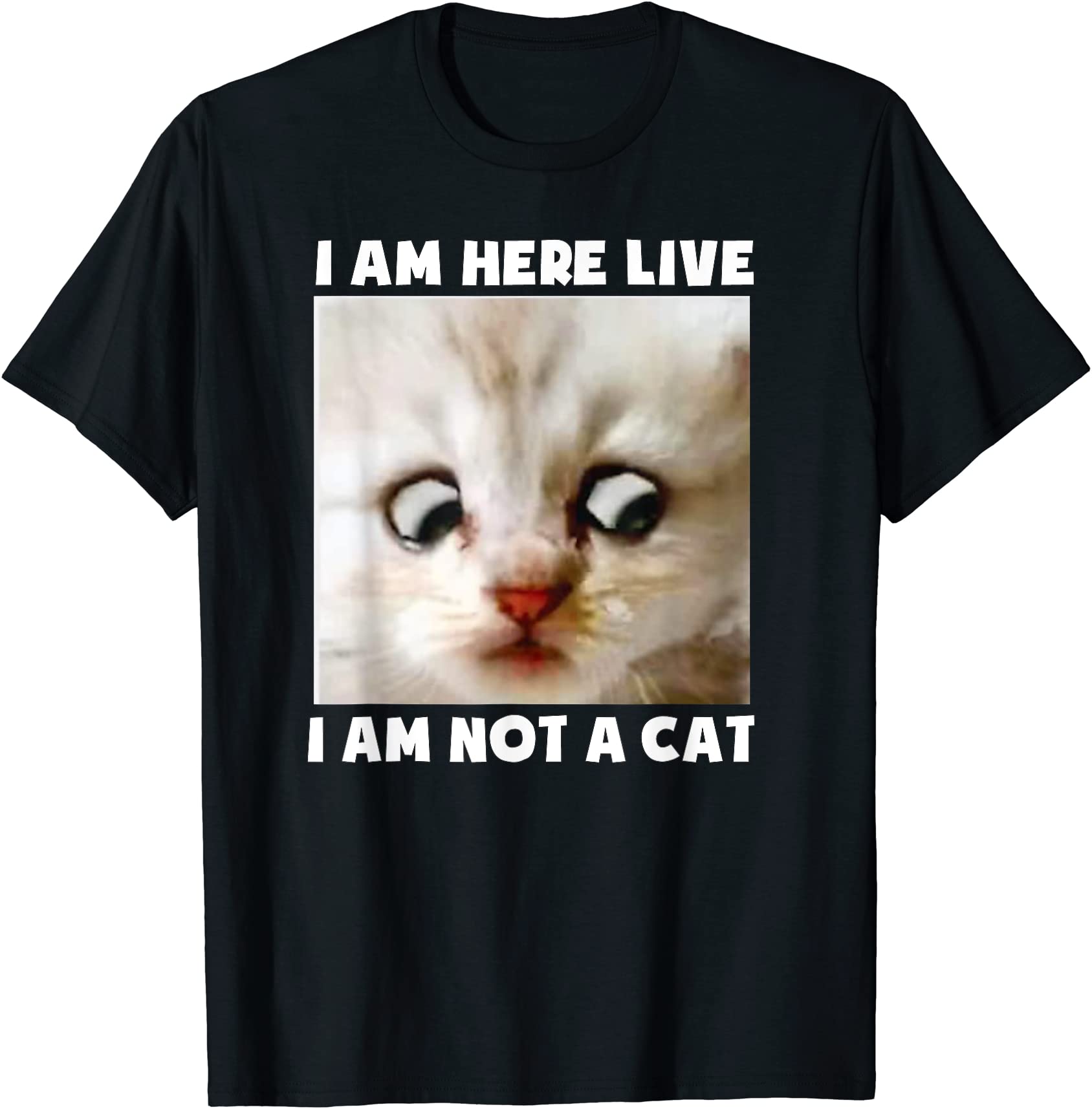 i am here live i am not a cat funny lawyer cat meme t shirt men Buy tshirt designs