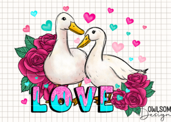 Duck Love Valentine PNG Sublimation t shirt vector illustration
