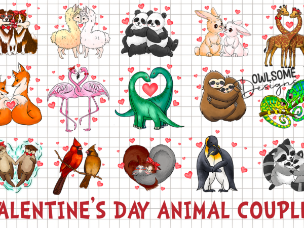 Valentine’s day animal couple bundle t shirt vector art