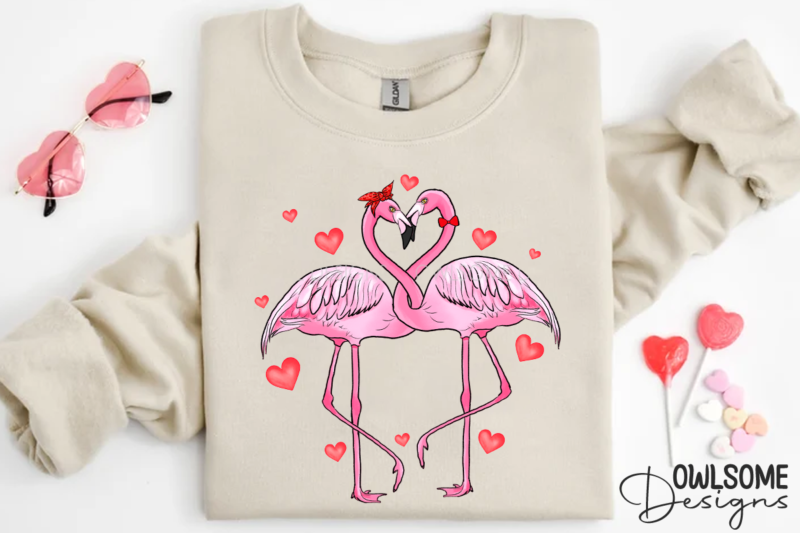Valentine’s Day Flamingo Couple Love PNG