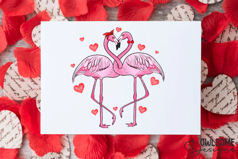 Valentine’s Day Flamingo Couple Love PNG