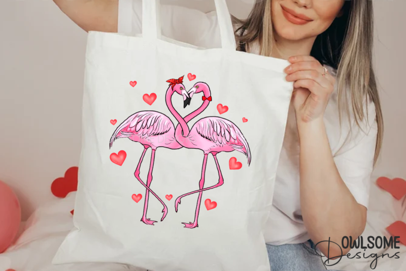 Valentine’s Day Flamingo Couple Love PNG