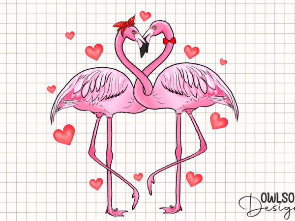 Valentine’s day flamingo couple love png t shirt vector art