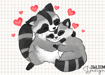 Valentine’s Day Raccoon Couple
