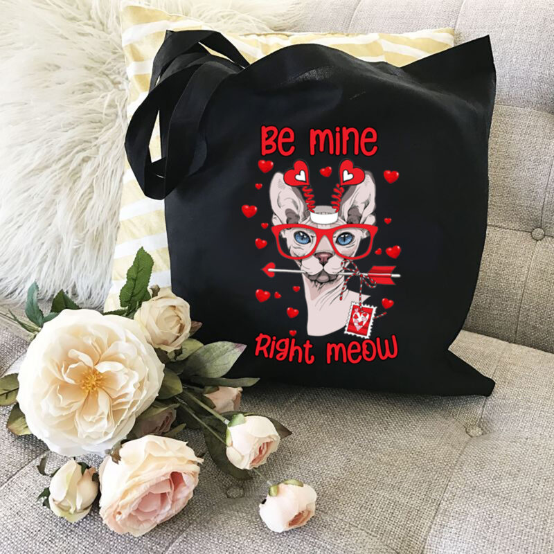 Funny Valentines Be Mine Right Meow Cute Cat Lovers NL