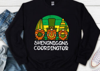 Shenanigans Coordinator St Patricks Day Gnomes Green Vintage NL