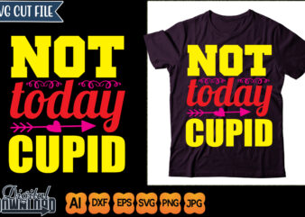 not today cupid T shirt vector artwork