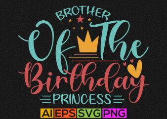 brother of the birthday princess, birthday princess gift vector cut file element, funny brother design