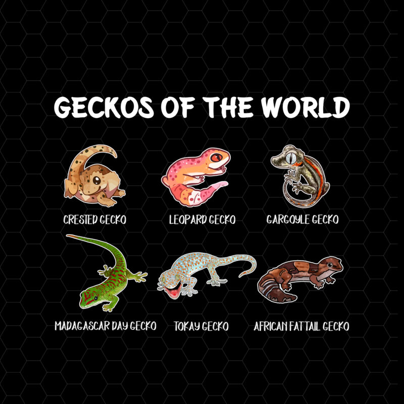 Geckos Of The World Kawaii Types Of Geckos Lizards Reptiles Pet NC 0902