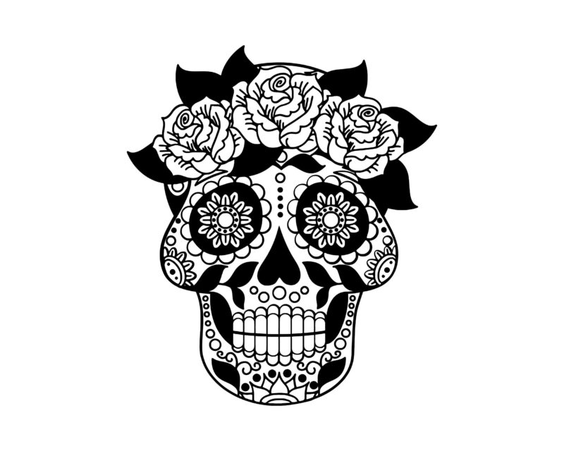 Human Skull Vector Best T-shirt Design Illustration 35