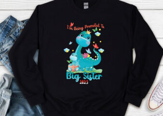 I_m Being Promoted To Big Sister 2023 Pregnancy Announcement NL 1602 t shirt design for sale