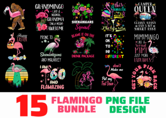15 FLAMINGO shirt Designs Bundle For Commercial Use, FLAMINGO T-shirt, FLAMINGO png file, FLAMINGO digital file, FLAMINGO gift, FLAMINGO download, FLAMINGO design