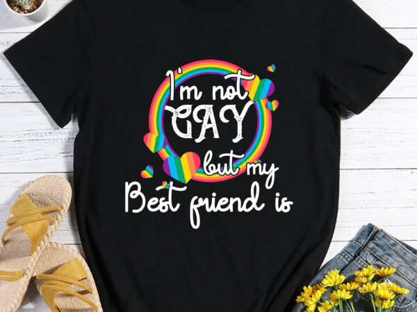 Rd i_m not gay but my best friend is shirt, lgbt month shirt, lgbt accept support t-shirt, rainbow t-shirt
