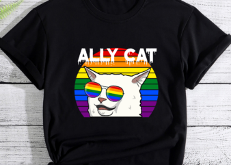 RD LGBT Shirt, Ally Cat Memes Shirt, Funny Smudge The Cat, LGBTQ Gift