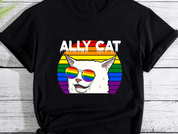 Rd lgbt shirt, ally cat memes shirt, funny smudge the cat, lgbtq gift