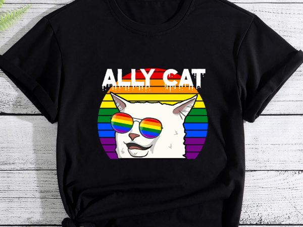 Rd lgbt shirt, ally cat memes shirt, funny smudge the cat, lgbtq gift Rd lgbt shirt, ally cat memes shirt, funny smudge the cat, lgbtq gift