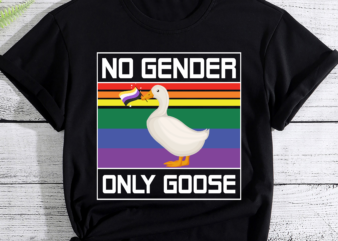 RD No Gender Only Goose T-Shirt, LGBT Shirt, Pride Shirt, Gay Pride Shirt, Lesbian Shirt, LGBTQ Ally Shirt, Rainbow Shirt