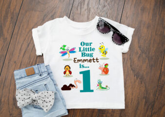 RD Boy_s One Year Old Bug Birthday Shirt or Onesie with Name, 1st Birthday Shirt, Personalized Bug Birthday t shirt design online