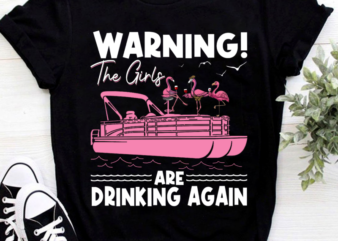 Flamingo Pontoon Warning The Girls Are Drinking Again PNG File