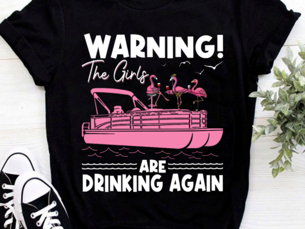 Flamingo pontoon warning the girls are drinking again png file t shirt graphic design