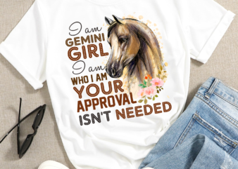 RD Gemini Girl Horse TShirt For Birthdays, Horse Lover GIfts, Zodiac Shirt with Horses On It, Astrology TShirt, Equestrian Lovers