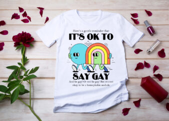 RD Its Ok To Say Gay Florida LGBT Gay Pride Protect Trans Kids T-Shirt