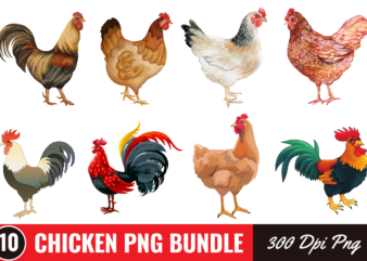 Watercolor chicken png bundle