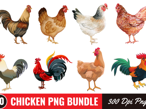 Watercolor chicken png bundle t shirt design for sale