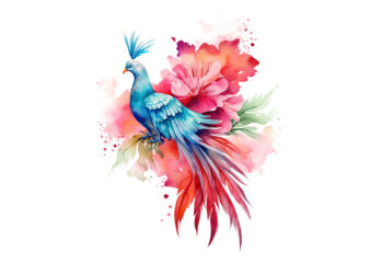 watercolor Peacock with flower clipart