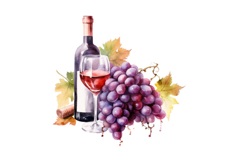 Wine and Grapes Watercolor Clipart