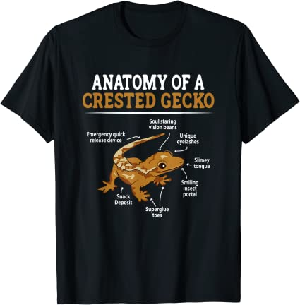 15 Gecko shirt Designs Bundle For Commercial Use, Gecko T-shirt, Gecko png file, Gecko digital file, Gecko gift, Gecko download, Gecko design