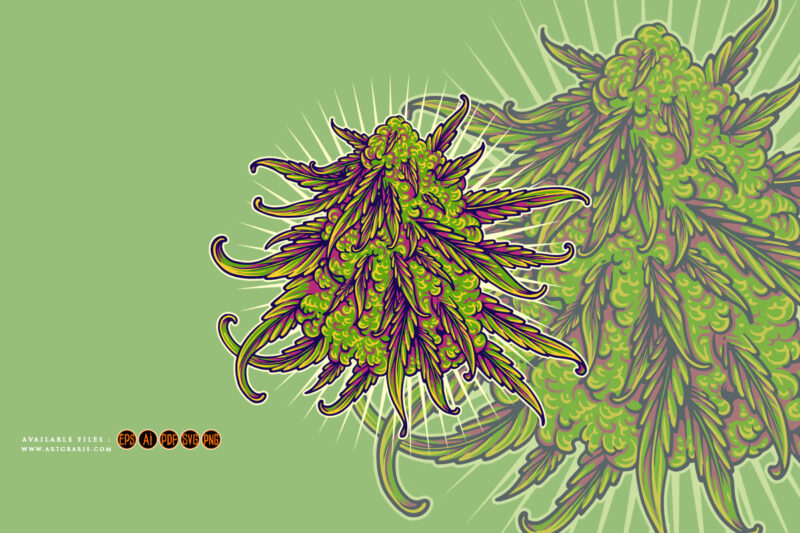 Cannabis indica buds strain botanical logo illustrations