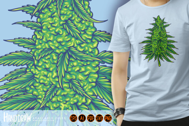 Cannabis sativa strains botanical hemp buds illustrations