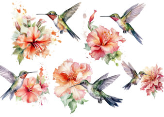 Hummingbird Flower Watercolor Clipart