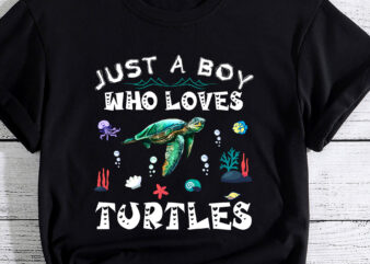 Just A Boy Who Loves Turtles Lover Gifts Sea Ocean Turtle PC