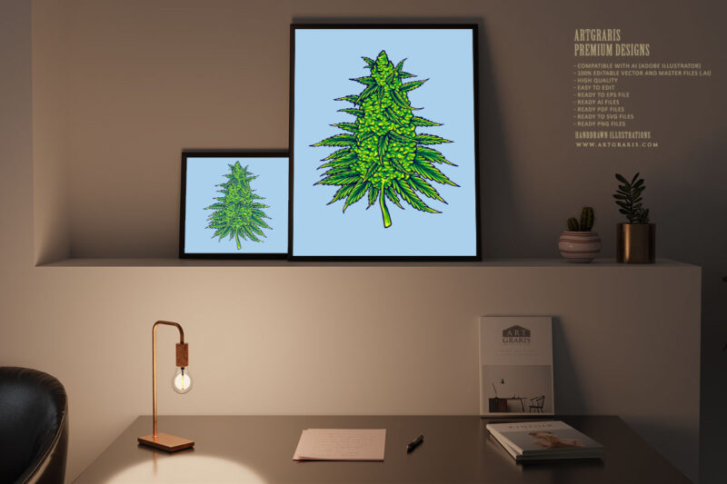 Cannabis sativa strains botanical hemp buds illustrations