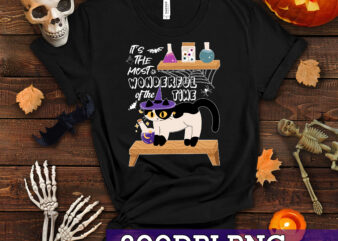 RD It_s the Most Wonderful Time of the Year black cat Halloween T-Shirt