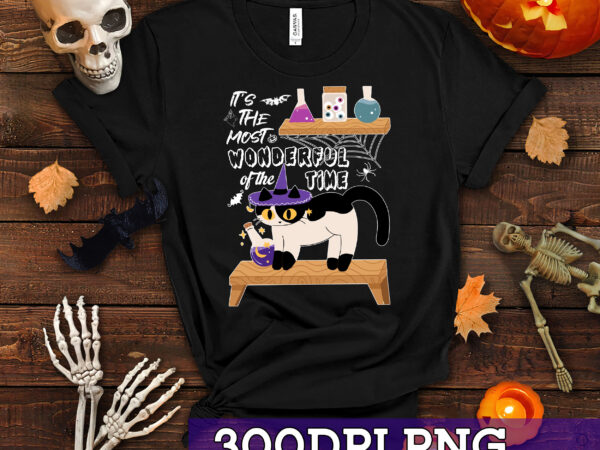 Rd it_s the most wonderful time of the year black cat halloween t-shirt